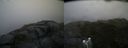 ./images/calvert/buxton2/20180707/buxton220180707_075458M.jpg