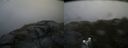 ./images/calvert/buxton2/20180707/buxton220180707_084957M.jpg