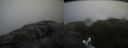 ./images/calvert/buxton2/20180707/buxton220180707_094957M.jpg