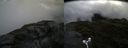 ./images/calvert/buxton2/20180707/buxton220180707_110457M.jpg