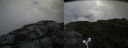 ./images/calvert/buxton2/20180707/buxton220180707_114458M.jpg