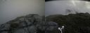 ./images/calvert/buxton2/20180707/buxton220180707_121958M.jpg