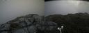 ./images/calvert/buxton2/20180707/buxton220180707_122457M.jpg