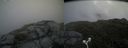./images/calvert/buxton2/20180707/buxton220180707_123958M.jpg
