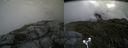 ./images/calvert/buxton2/20180707/buxton220180707_125958M.jpg