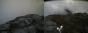 ./images/calvert/buxton2/20180707/buxton220180707_133958M.jpg