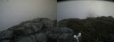 ./images/calvert/buxton2/20180707/buxton220180707_144457M.jpg