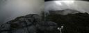 ./images/calvert/buxton2/20180707/buxton220180707_174457M.jpg