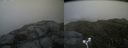 ./images/calvert/buxton2/20180707/buxton220180707_182458M.jpg