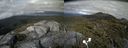 ./images/calvert/buxton2/20180709/buxton220180709_175958M.jpg
