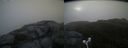 ./images/calvert/buxton2/20180711/buxton220180711_052457M.jpg