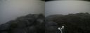 ./images/calvert/buxton2/20180711/buxton220180711_074957M.jpg