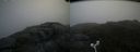 ./images/calvert/buxton2/20180711/buxton220180711_085957M.jpg