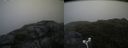 ./images/calvert/buxton2/20180711/buxton220180711_093457M.jpg