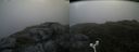 ./images/calvert/buxton2/20180711/buxton220180711_093957M.jpg