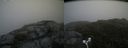 ./images/calvert/buxton2/20180711/buxton220180711_101957M.jpg