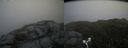 ./images/calvert/buxton2/20180711/buxton220180711_114457M.jpg