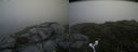 ./images/calvert/buxton2/20180711/buxton220180711_121457M.jpg