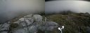 ./images/calvert/buxton2/20180711/buxton220180711_154957M.jpg