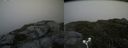 ./images/calvert/buxton2/20180711/buxton220180711_183957M.jpg