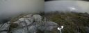 ./images/calvert/buxton2/20180712/buxton220180712_154957M.jpg