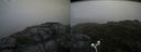 ./images/calvert/buxton2/20180718/buxton220180718_074457M.jpg