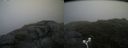 ./images/calvert/buxton2/20180718/buxton220180718_082957M.jpg