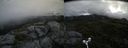 ./images/calvert/buxton2/20180718/buxton220180718_095457M.jpg