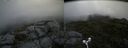 ./images/calvert/buxton2/20180718/buxton220180718_101957M.jpg