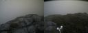 ./images/calvert/buxton2/20180718/buxton220180718_104457M.jpg