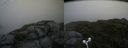 ./images/calvert/buxton2/20180718/buxton220180718_112957M.jpg