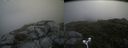 ./images/calvert/buxton2/20180718/buxton220180718_114457M.jpg