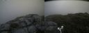 ./images/calvert/buxton2/20180718/buxton220180718_115457M.jpg