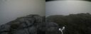 ./images/calvert/buxton2/20180718/buxton220180718_124957M.jpg