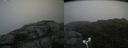 ./images/calvert/buxton2/20180718/buxton220180718_130457M.jpg