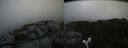./images/calvert/buxton2/20180718/buxton220180718_132457M.jpg