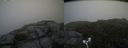 ./images/calvert/buxton2/20180718/buxton220180718_135957M.jpg
