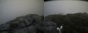 ./images/calvert/buxton2/20180718/buxton220180718_142957M.jpg