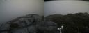 ./images/calvert/buxton2/20180719/buxton220180719_103957M.jpg