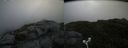 ./images/calvert/buxton2/20180719/buxton220180719_114957M.jpg