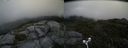 ./images/calvert/buxton2/20180719/buxton220180719_121457M.jpg