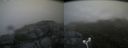 ./images/calvert/buxton2/20180720/buxton220180720_063457M.jpg