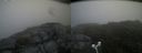 ./images/calvert/buxton2/20180720/buxton220180720_092456M.jpg