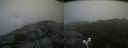 ./images/calvert/buxton2/20180720/buxton220180720_113456M.jpg