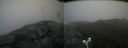 ./images/calvert/buxton2/20180720/buxton220180720_135456M.jpg
