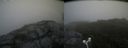 ./images/calvert/buxton2/20180720/buxton220180720_145457M.jpg