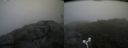 ./images/calvert/buxton2/20180720/buxton220180720_164956M.jpg