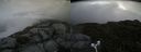 ./images/calvert/buxton2/20180721/buxton220180721_105456M.jpg