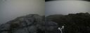 ./images/calvert/buxton2/20180721/buxton220180721_132957M.jpg