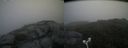 ./images/calvert/buxton2/20180722/buxton220180722_102456M.jpg
